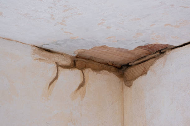 Water damage restoration insurance claims in NJ