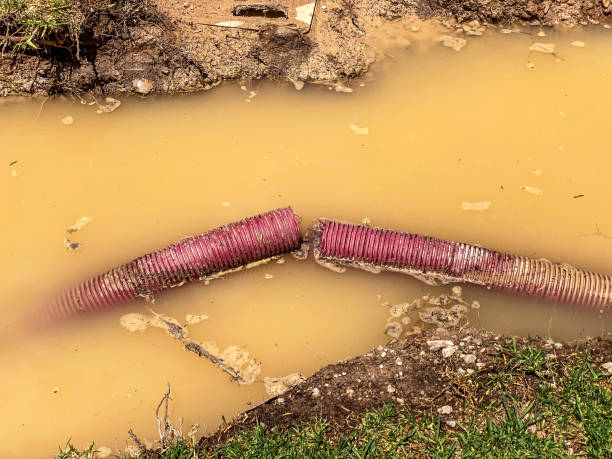 Best Water damage restoration insurance claims  in National Park, NJ