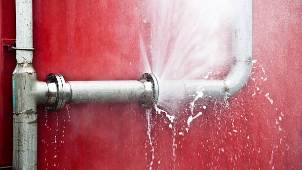 Best Flood restoration services  in National Park, NJ